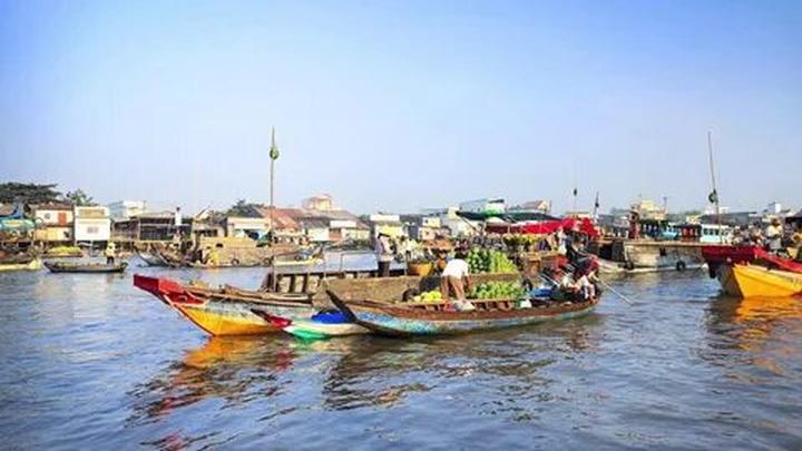 Bonobo: Nguồn Gốc Tiến Hóa Của Ngôn Ngữ Con Người?