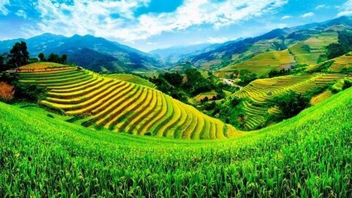 Video ngắn – Giải pháp truyền thông thông minh cho doanh nghiệp nhỏ